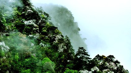 吉安杜鹃山(笔架山)门票