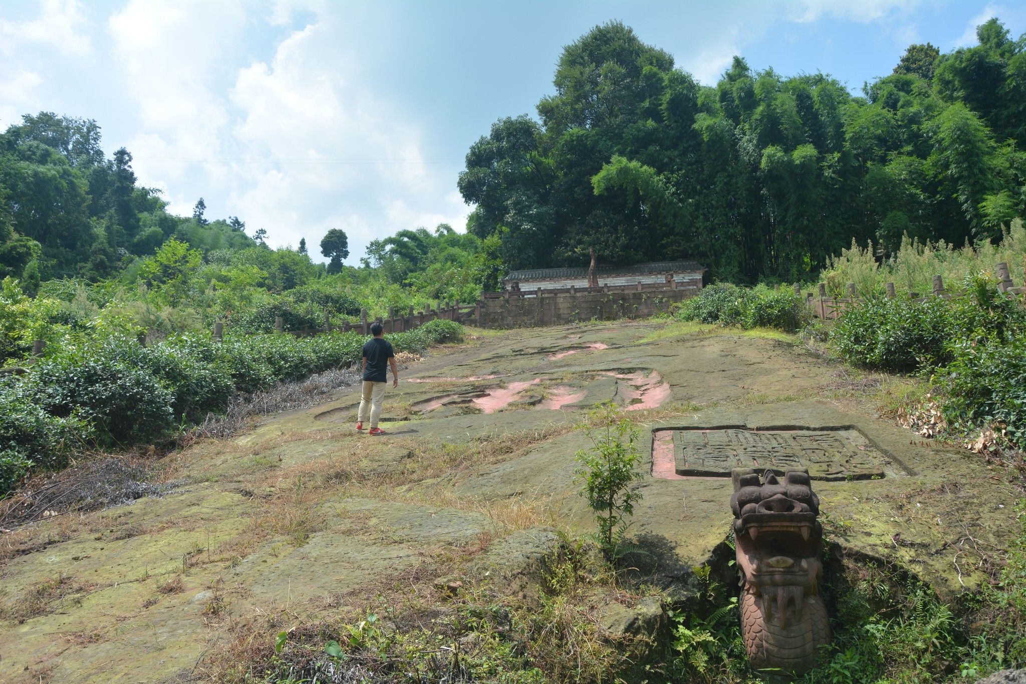 邛崃居住人口_邛崃天台山图片(3)