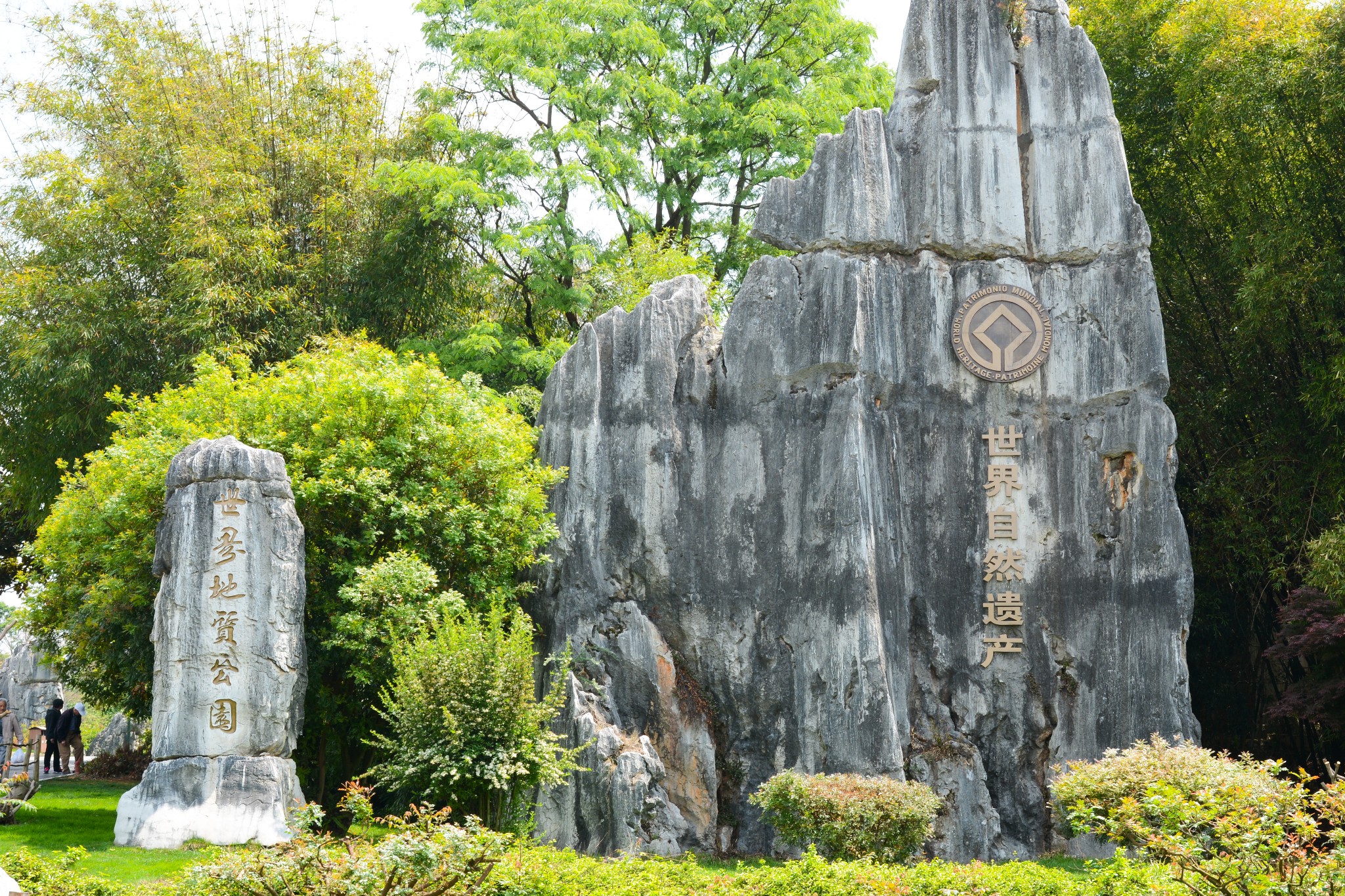 四月,漫步在七彩云端,云南旅游攻略 马蜂窝