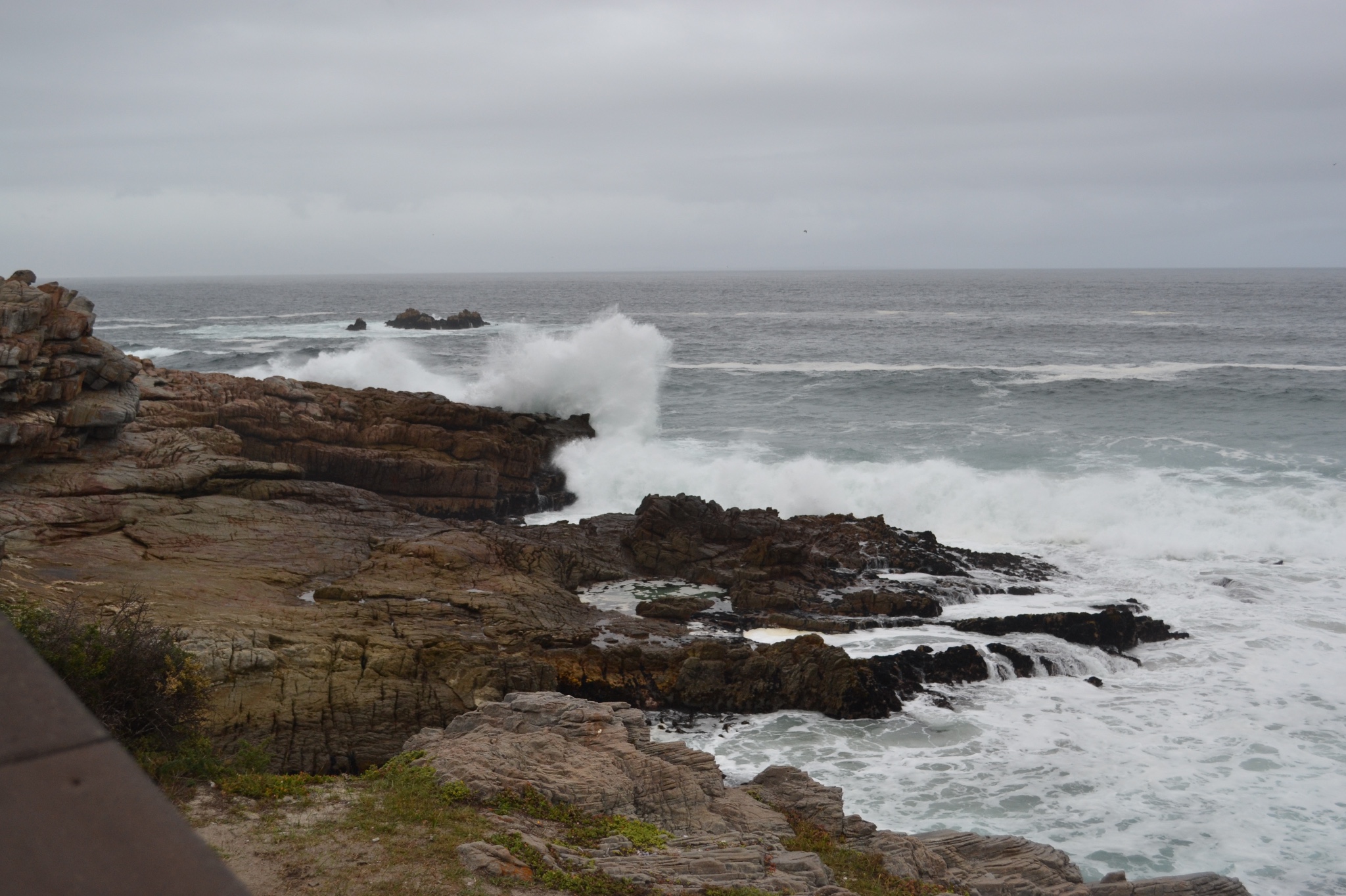 Hermanus-Mossel-Knysna 赫曼努斯－摩梭湾-耐斯那镇 June 2,2016_游记