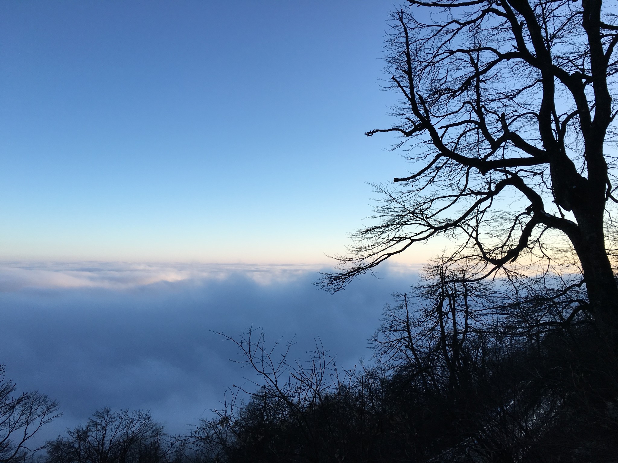 千佛山看雪,写在结婚纪念日