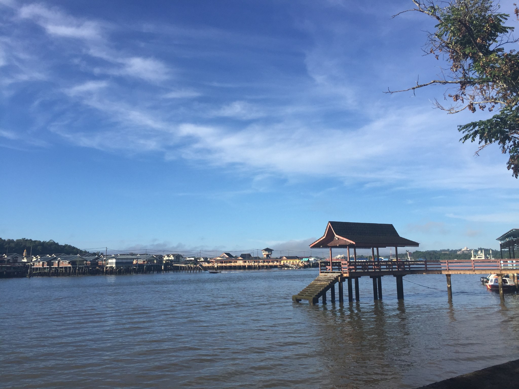 文莱印象——淡布隆国家森林公园_游记