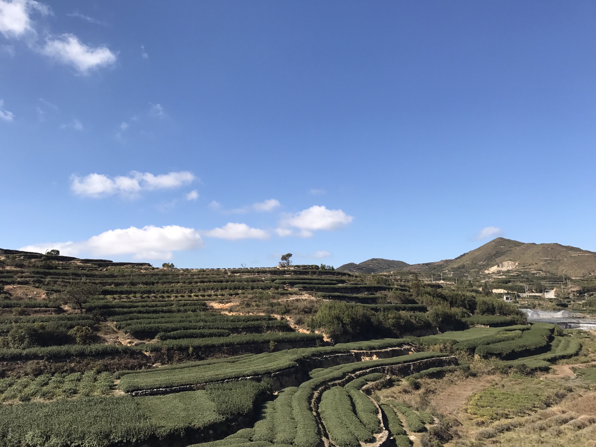 2017年，始于美食和美景_游记
