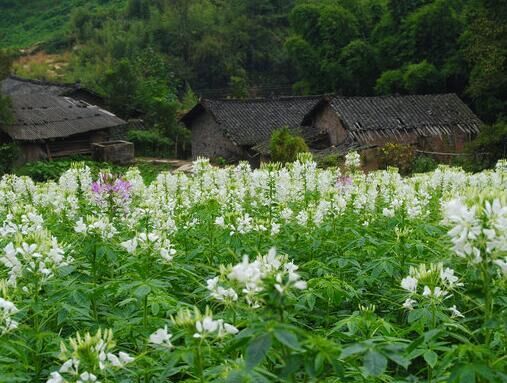 屏锦掠影：一场山城以南的冒险之旅