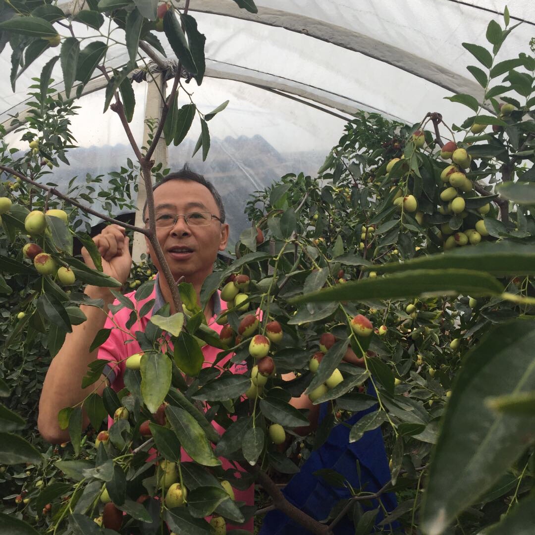 红河美食-团山国莲带皮小黄牛米线馆