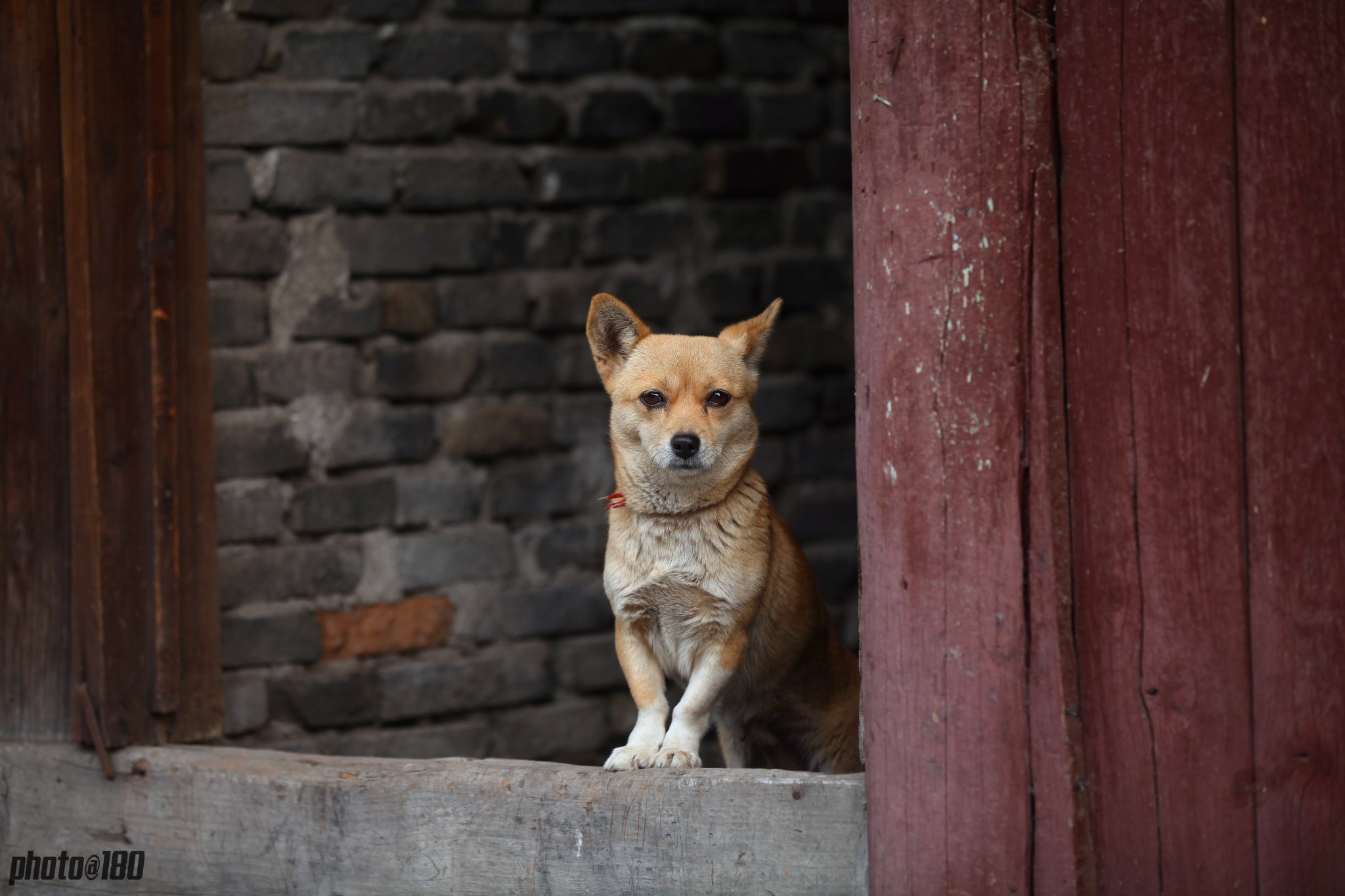 12.13.四川元通古镇休闲摄影_游记