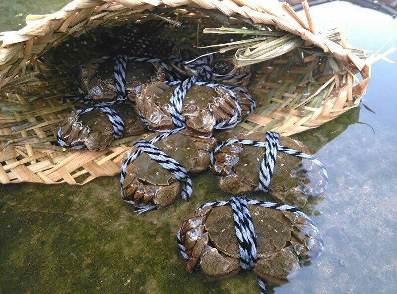 汕头美食-太湖大闸蟹