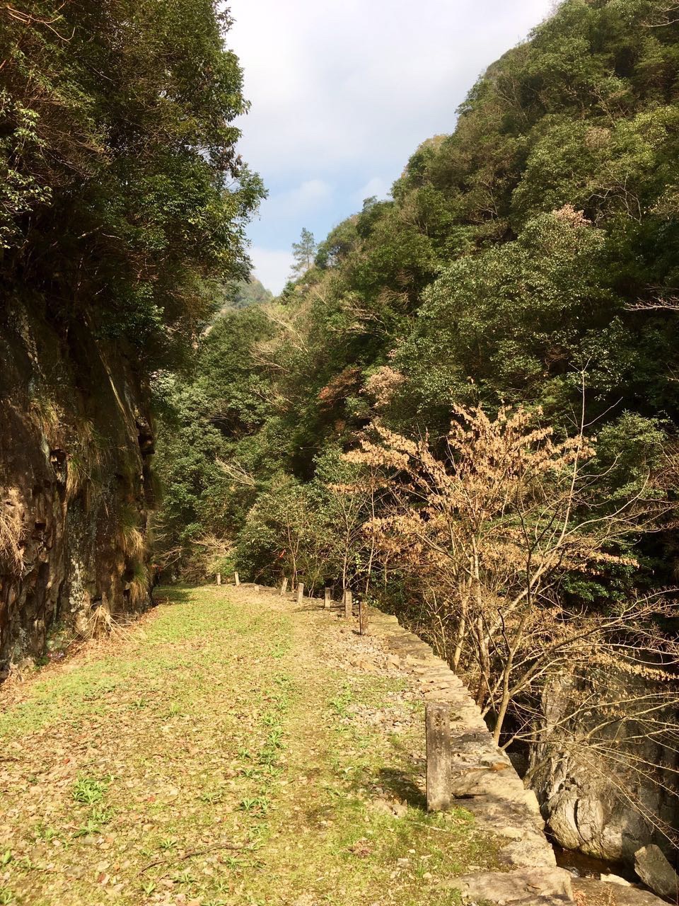 去荒山野岭,打个盹儿