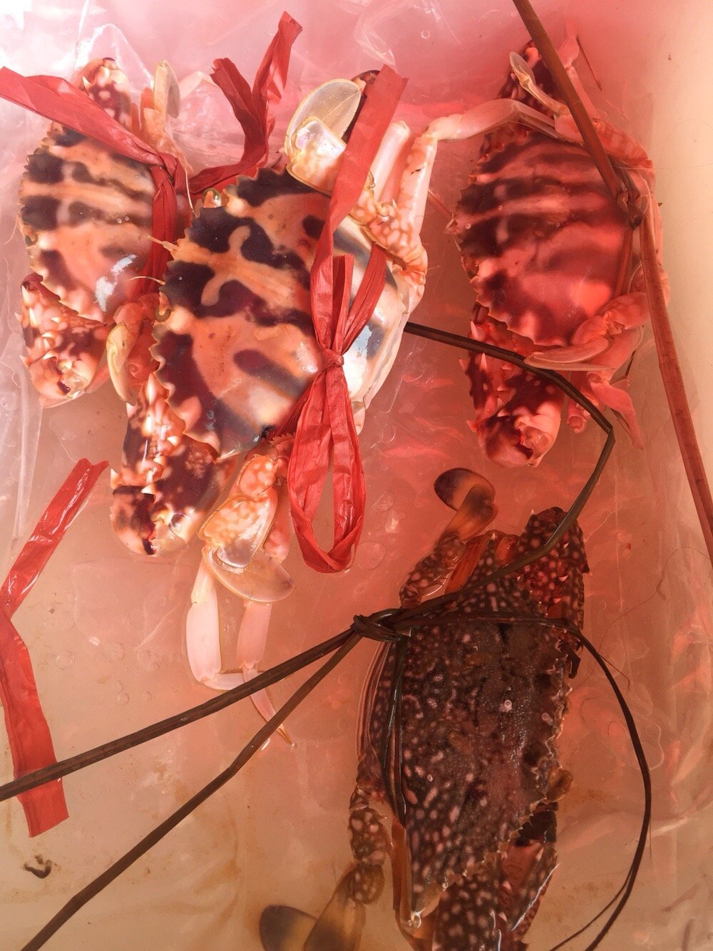 丽江美食-海鲜店