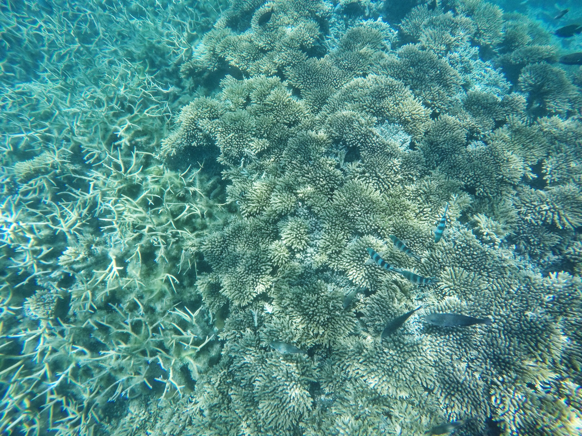 潜派旅行