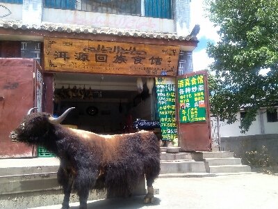 丽江美食-洱源回族食馆(南门转台16年老店)
