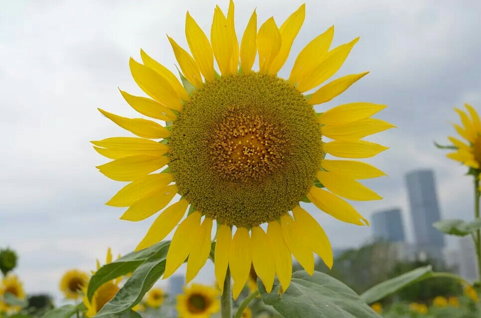 wKgBs1gDokKAUXXhAAT8dv6VEVU90.jpeg?imageView2%2F2%2Fw%2F680%2Fq%2F90%7CimageMogr2%2Fstrip%2Fquality%2F90