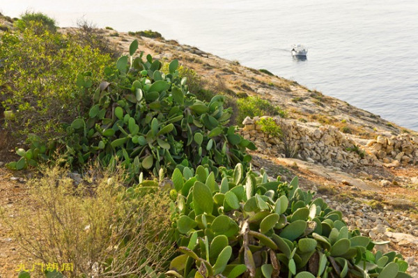 马耳他的“蓝洞”,马耳他旅游攻略