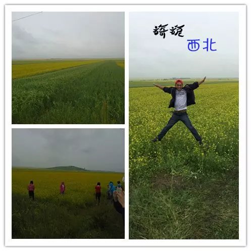 wKgBs1elUgOANnjmAAC-IPOKIw415.jpeg?imageView2%2F2%2Fw%2F600%2Fq%2F90%7CimageMogr2%2Fstrip%2Fquality%2F90