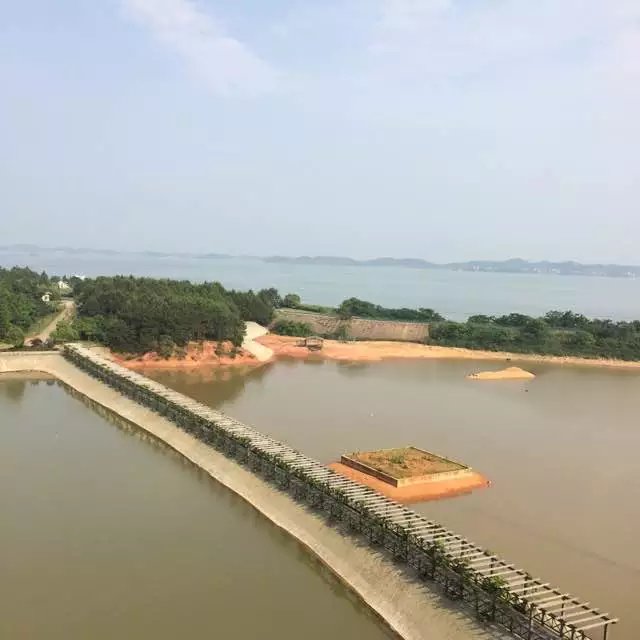 鄱阳湖湿地公园游记