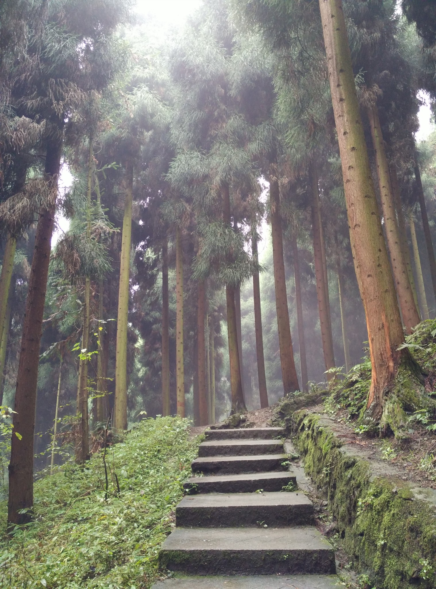 云深处路迷 莹华山自驾游_游记