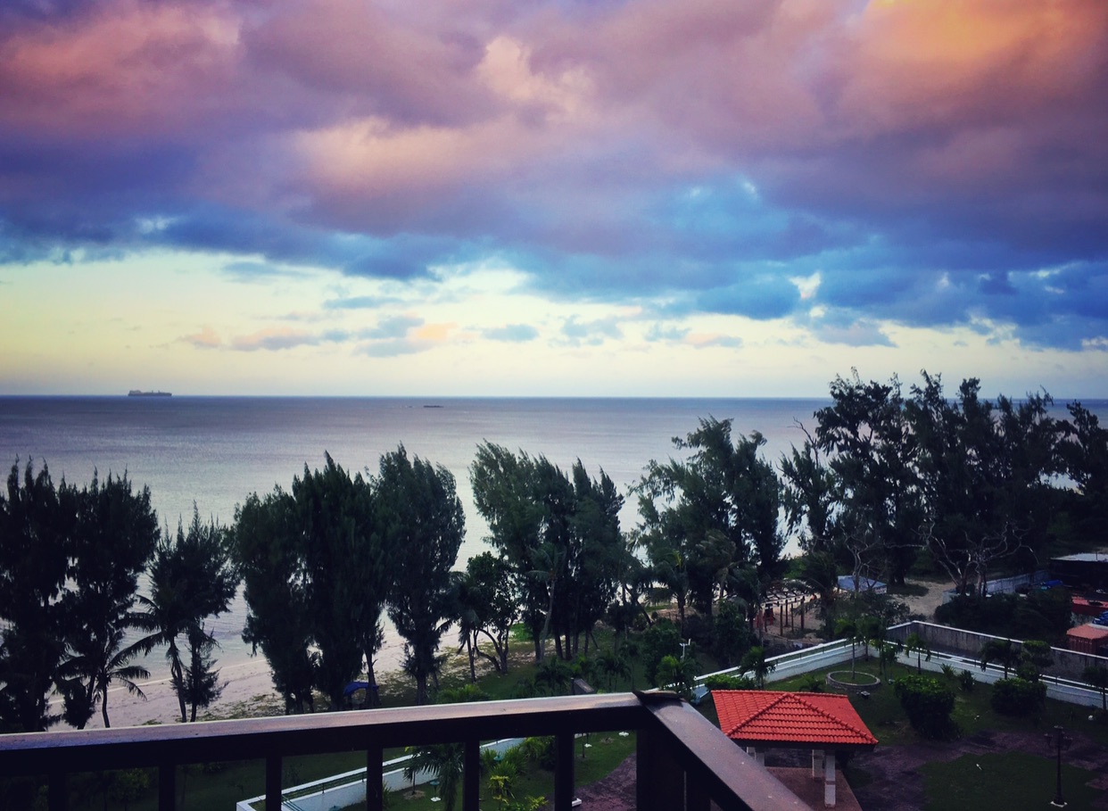 北马里亚纳群岛美食-Dolphine