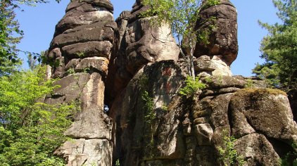 伊春汤旺河石林风景区(汤旺河国家公园)门票