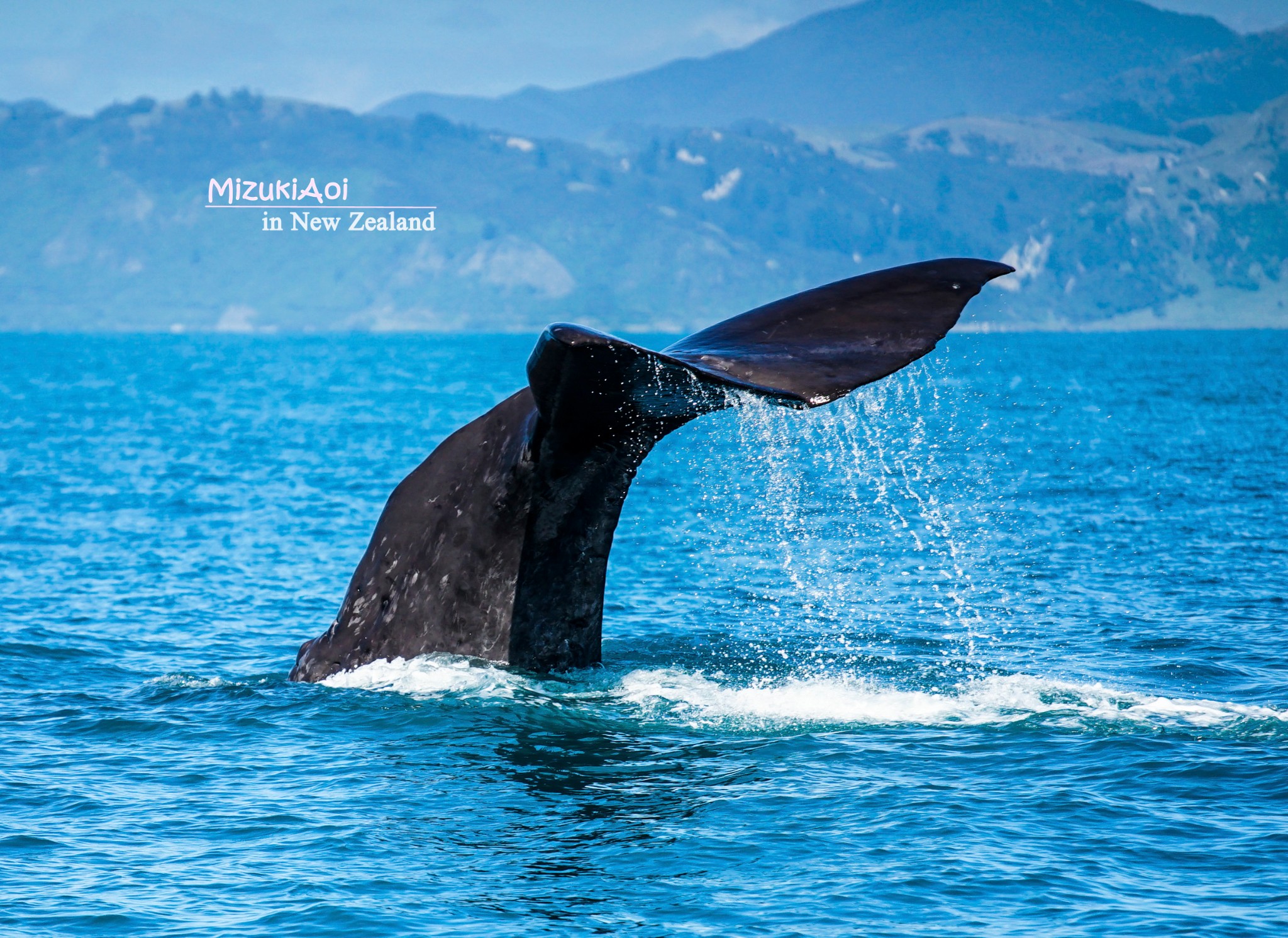 #蜂首纪念#流连忘返——新西兰南岛11日自驾风光游