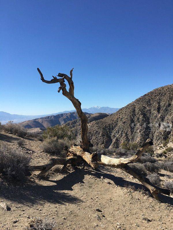 请问距离洛杉矶比较近的国家公园是哪个,怎么