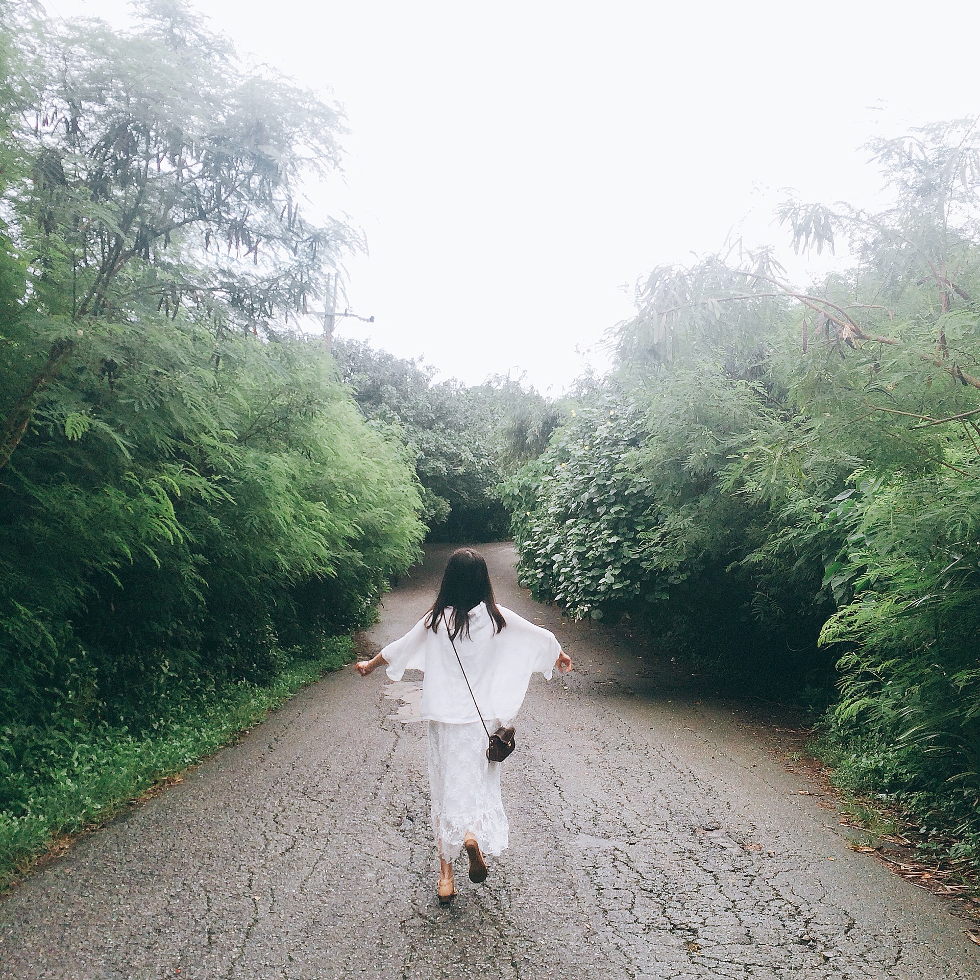 林间小路,我妈拿这张作头像,哈哈.