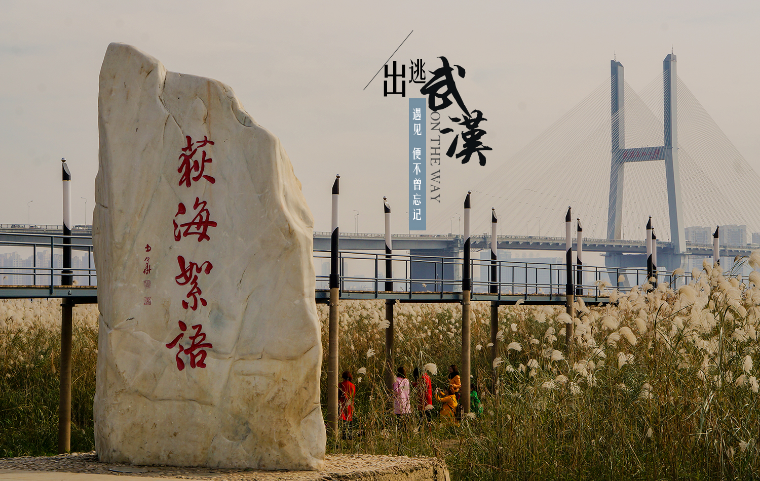 武汉出逃人口_武汉地铁出人口图片