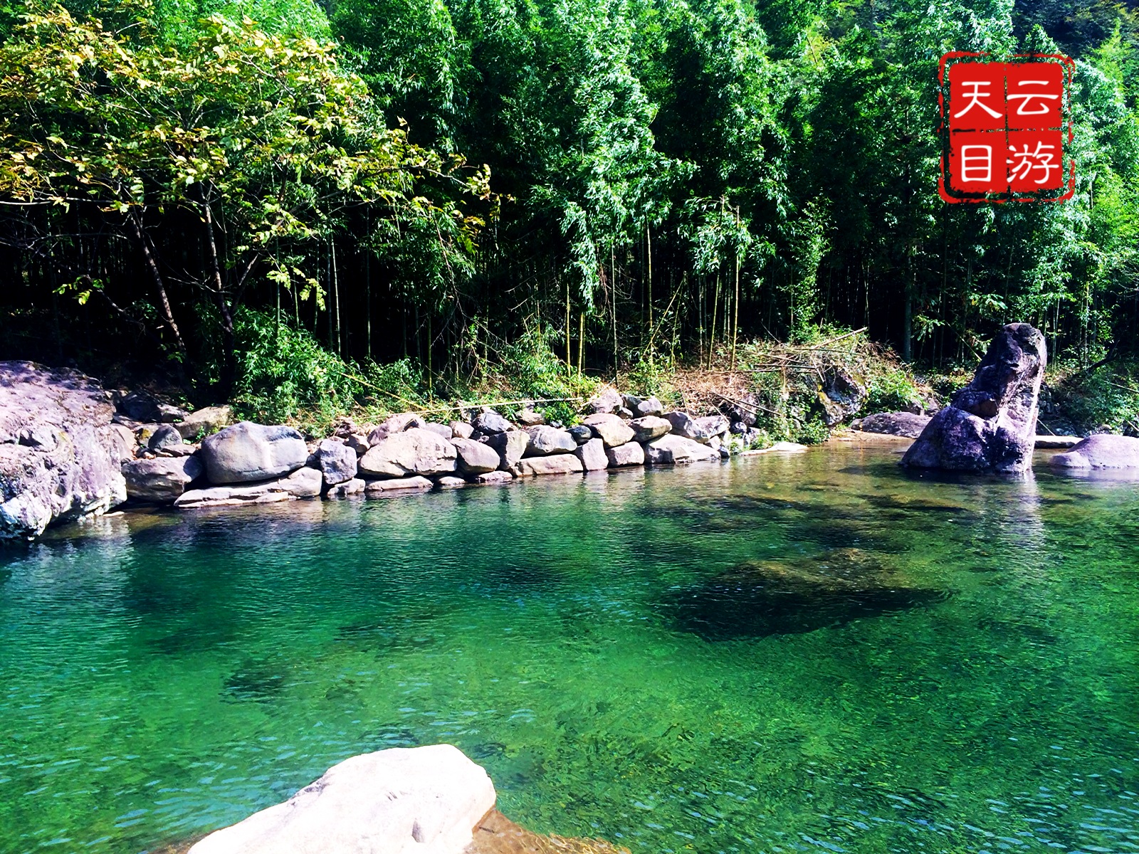 【临安图片】清秋天目行