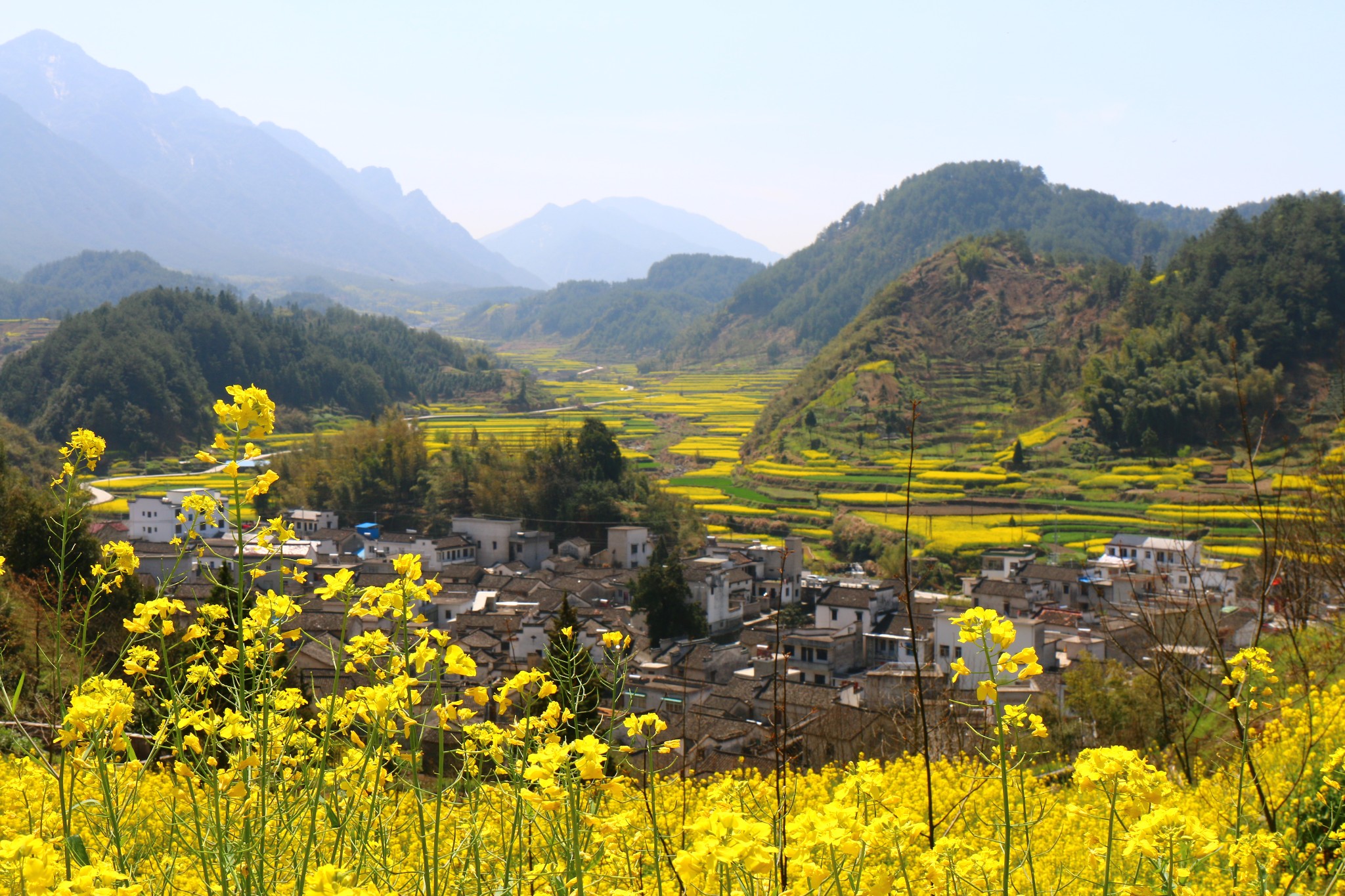 阳春三月的皖南山村