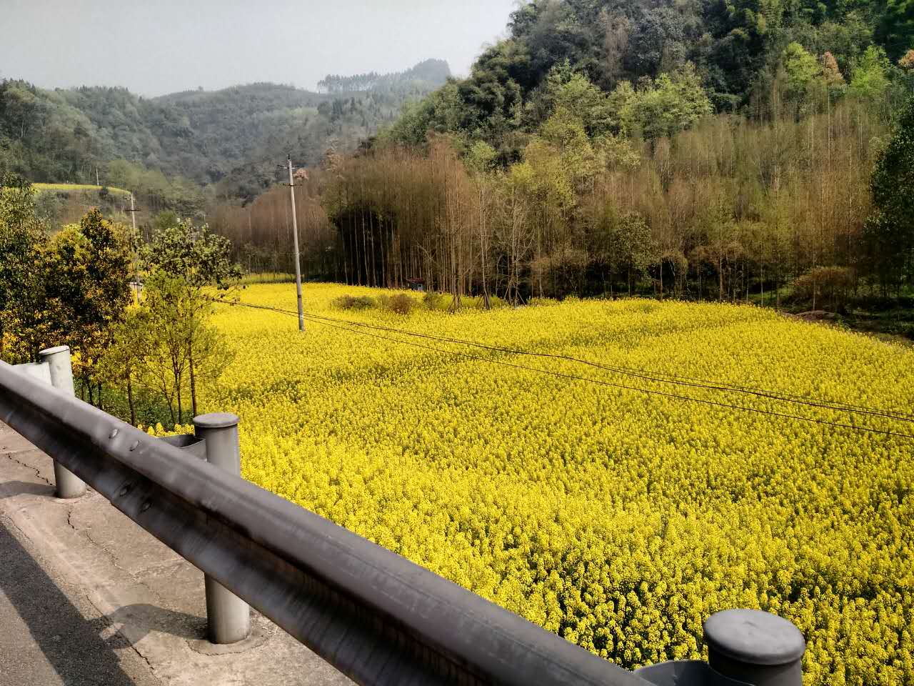 骑行崇州重庆路——中国最美乡村公路