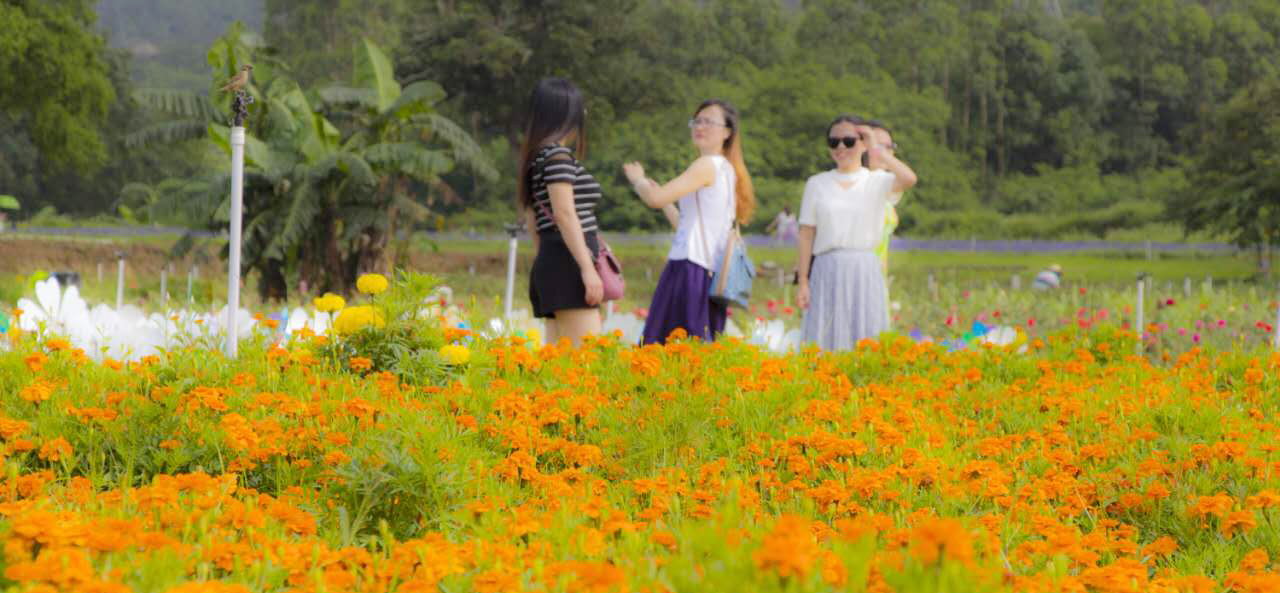 深圳大鹏南澳(鹏城花千谷/美丽乡村)门票