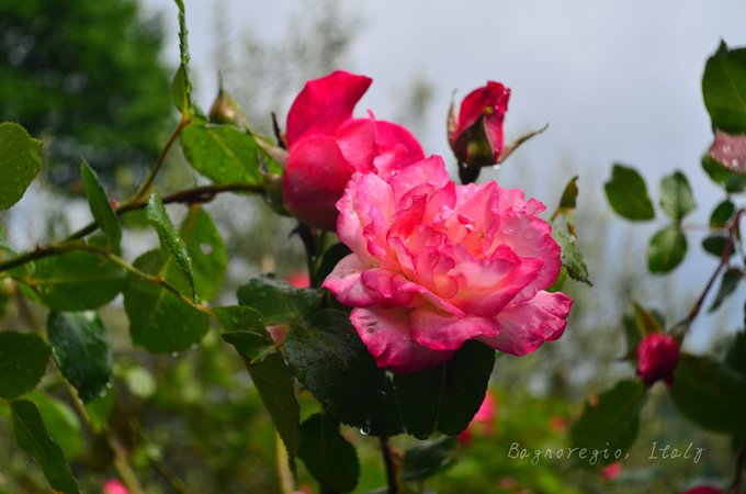 在天空之城，西西里和马耳他的七天,马耳他自助