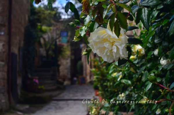 在天空之城,西西里和马耳他的七天,马耳他自助