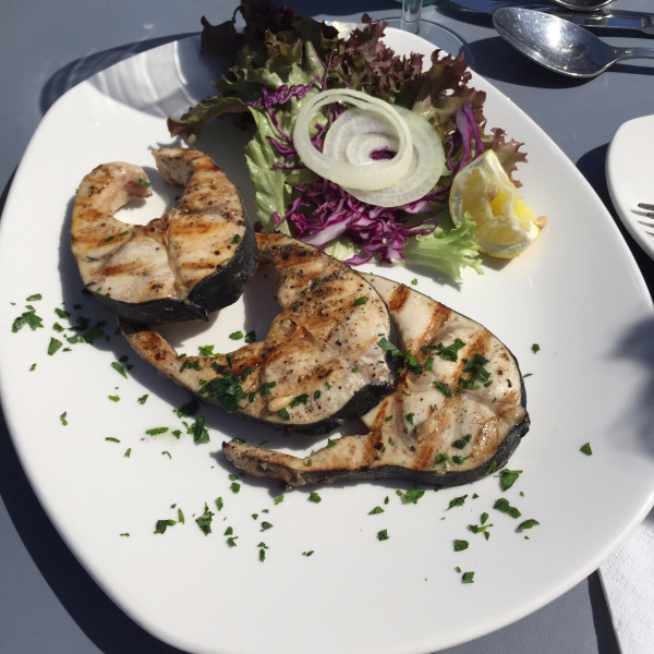 迷醉于马耳他的宝蓝色,马耳他旅游攻略