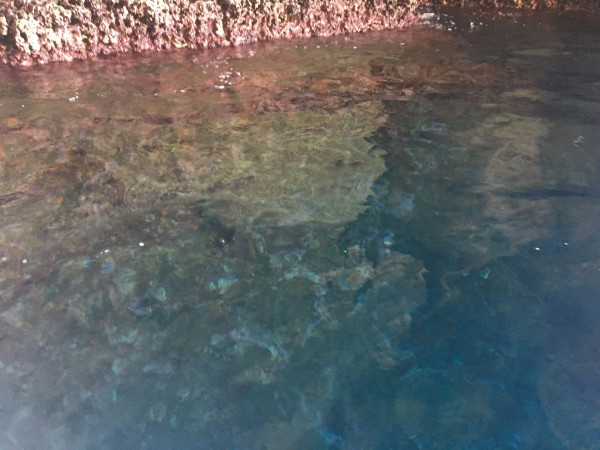 迷醉于马耳他的宝蓝色,马耳他旅游攻略