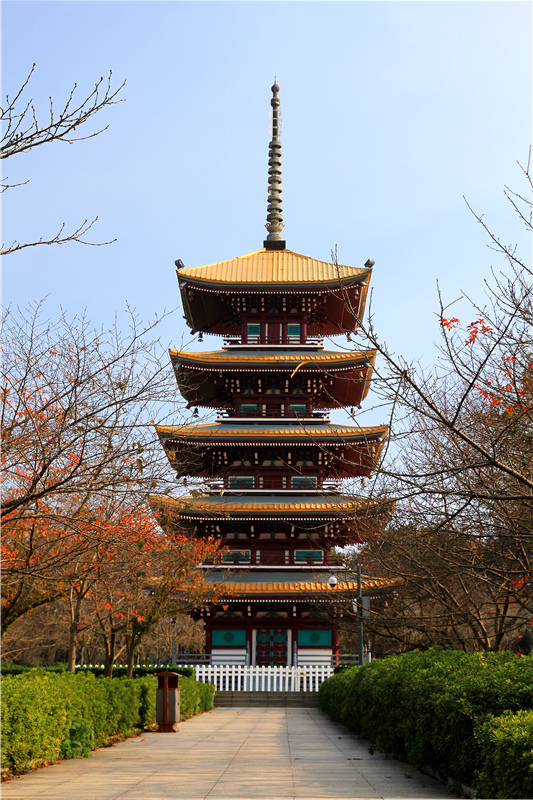 秋游武汉东湖磨山梅园风景区