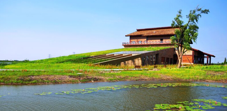 当地游首页>宁波>景区/场馆> 受杭州湾湿地办委托,从今年4月中旬开始