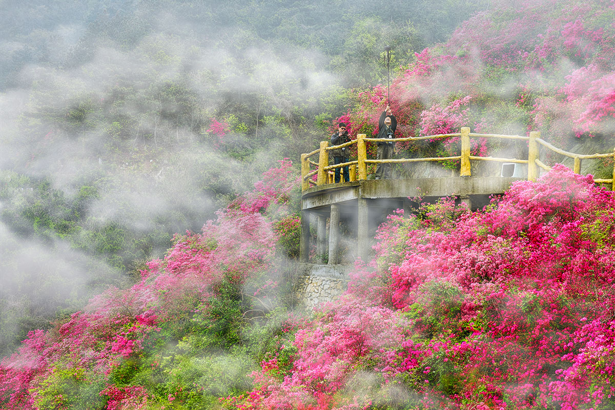 黄陂云雾山门票(电子票 )