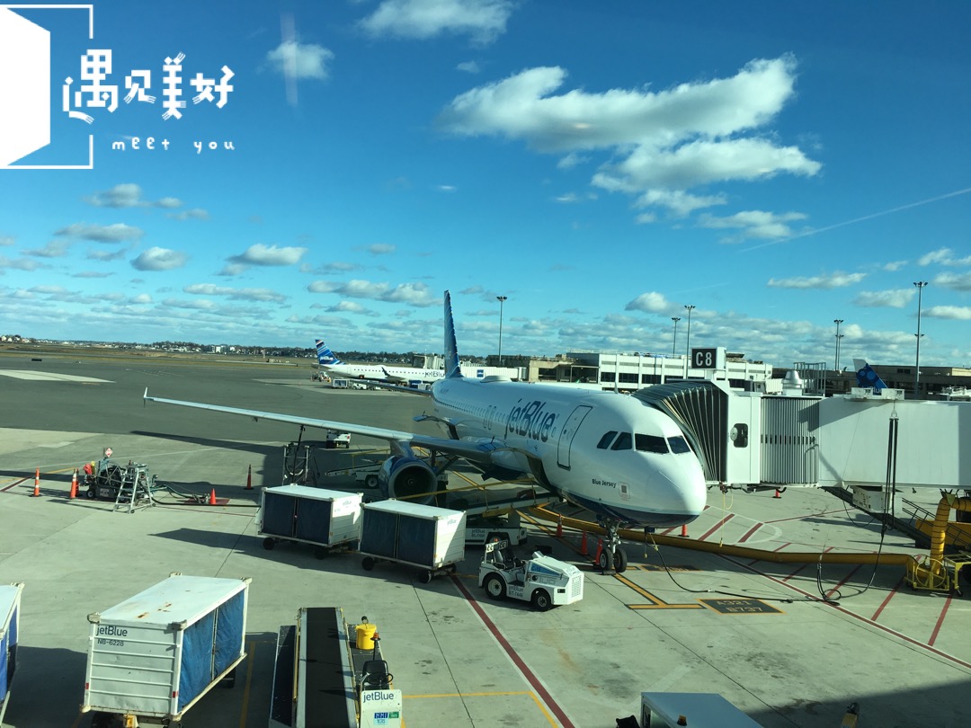 波士顿美食-Dunkin' Donuts