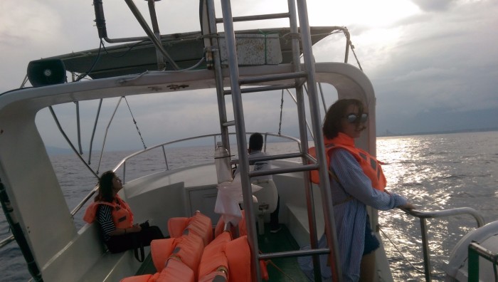 花莲天气什么时候适合赏鲸,路线怎么安排