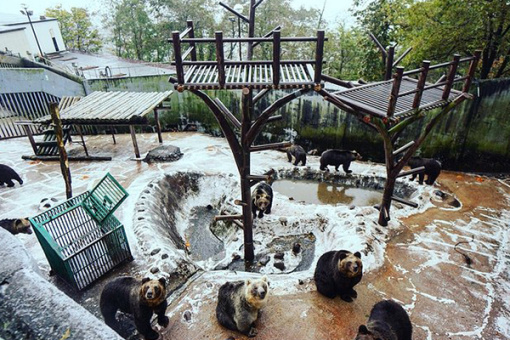 天津出发:日本北海道北国风情6天5晚跟团游(拒