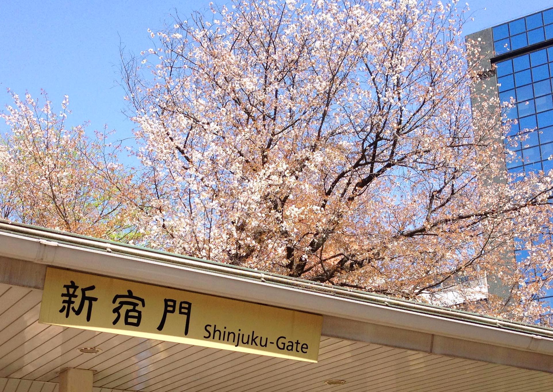 潜派旅行