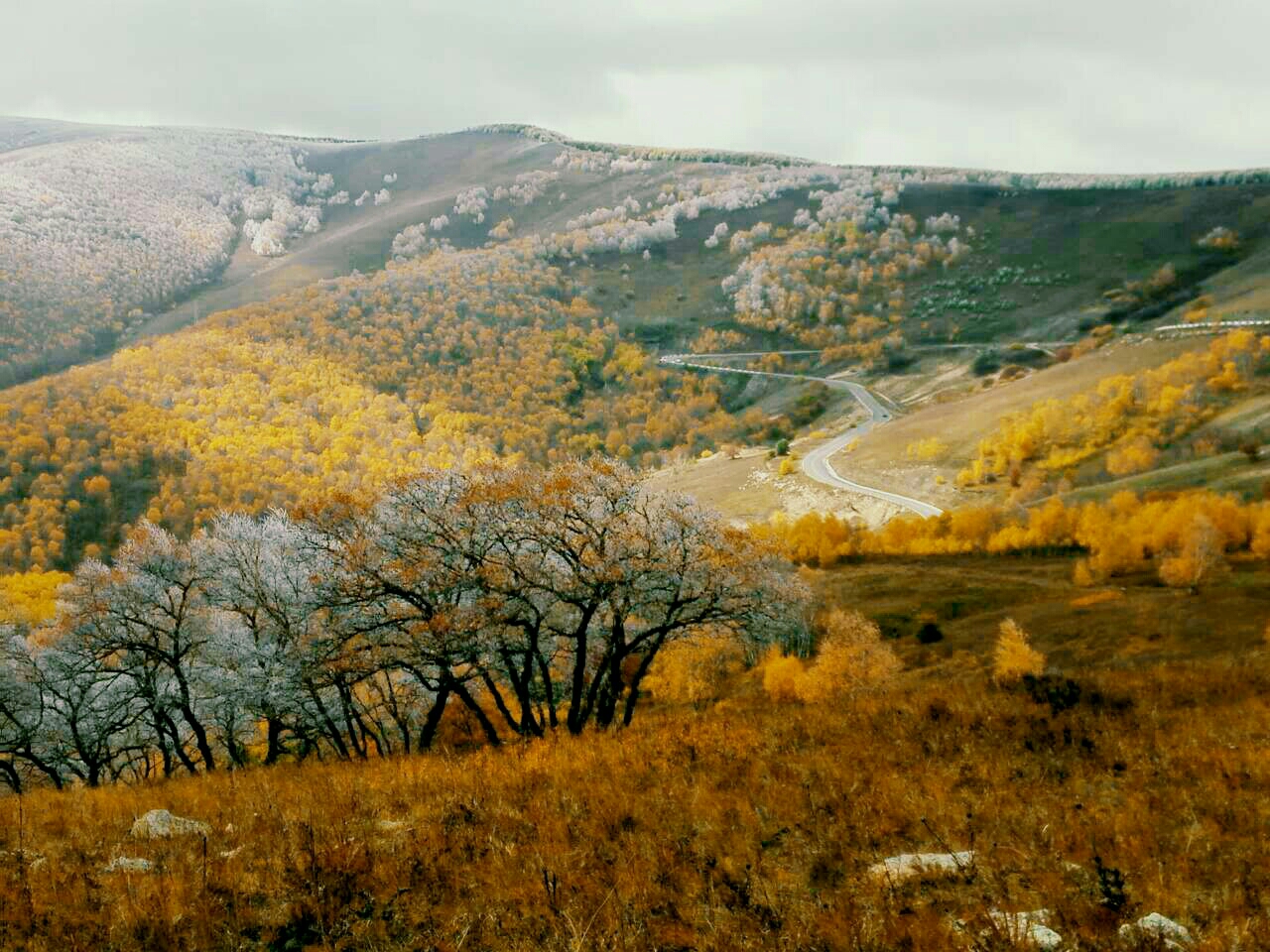 雨雪黄岗梁