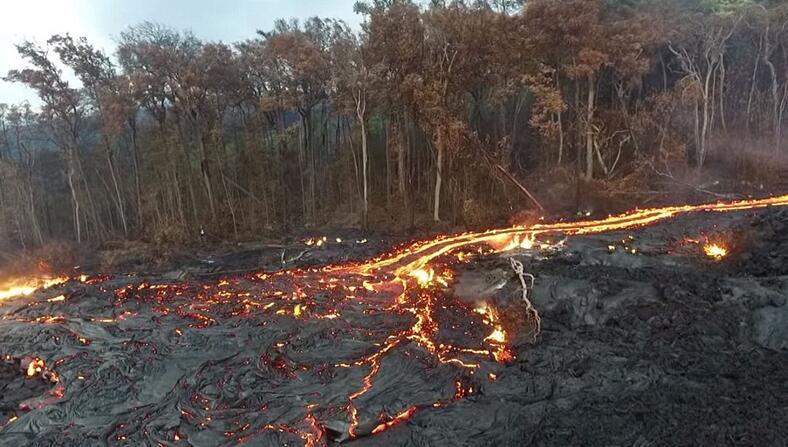 夏威夷火山爆发，熔浆吞噬森林 