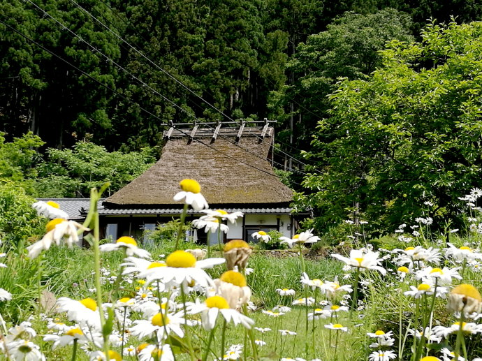 【日本关西】独享美山合掌茅屋村