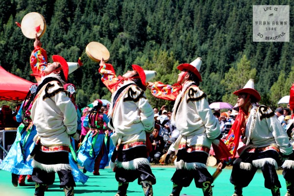 走进卓尼，寻秘境之旅——在草原起舞在山间高歌_游记