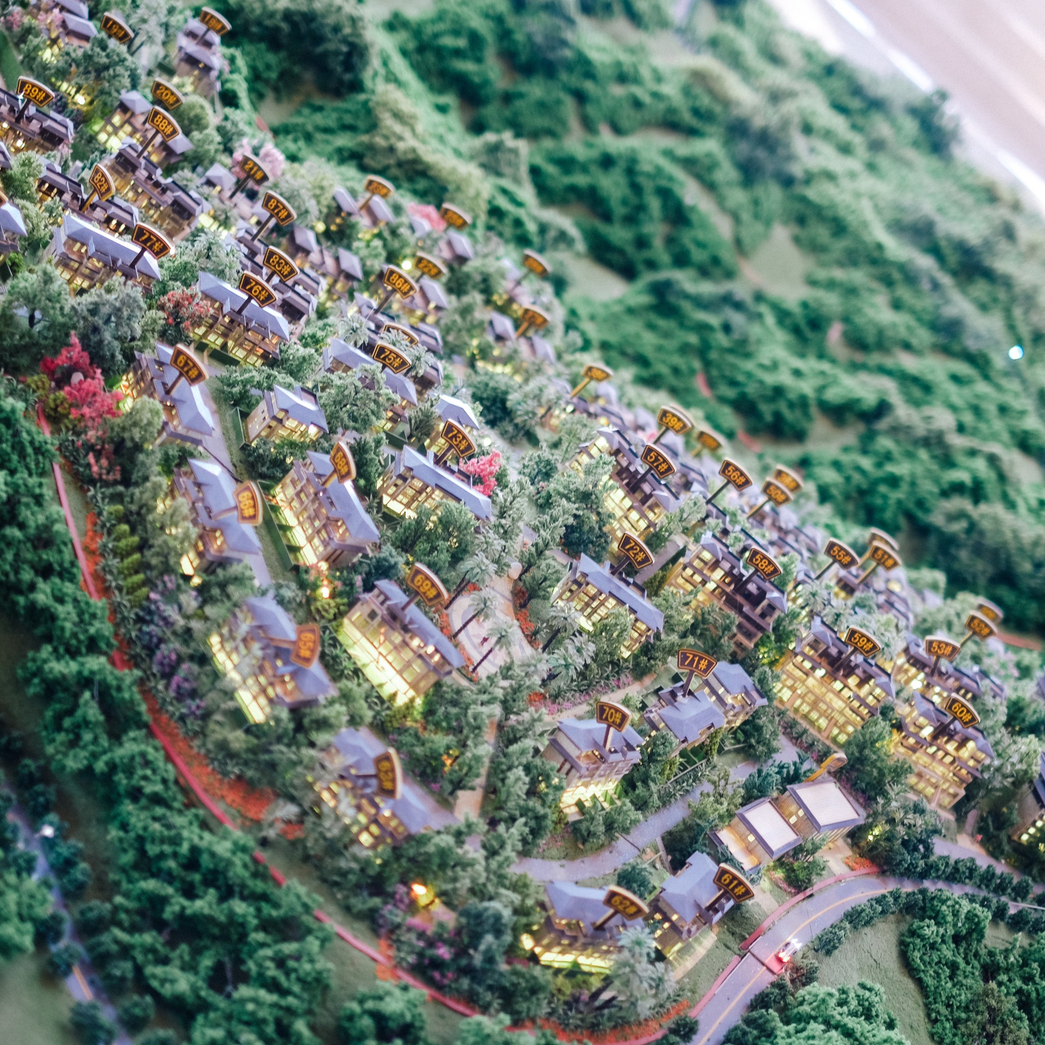 大堂区人口_澳门大堂区的地图