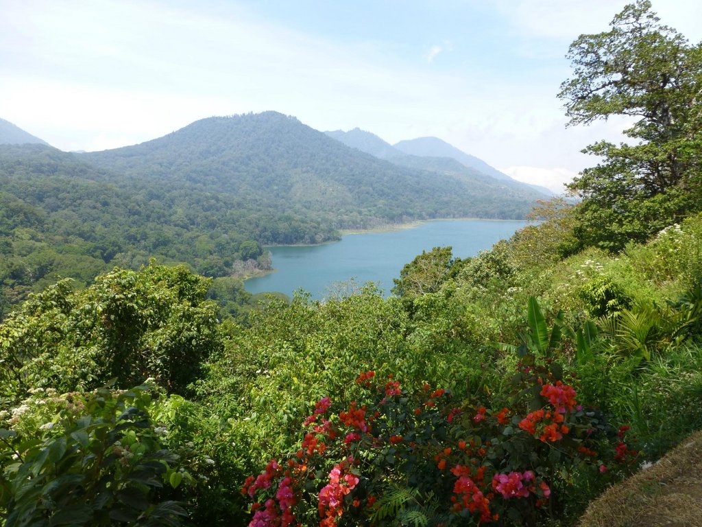 庞里美食-Lakeview & Restaurant