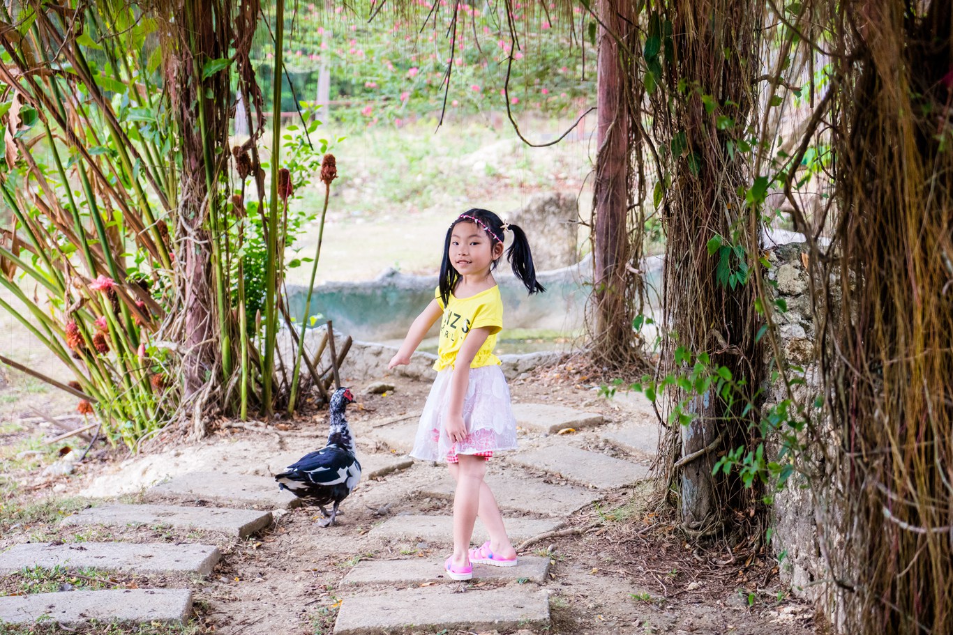 潜派旅行