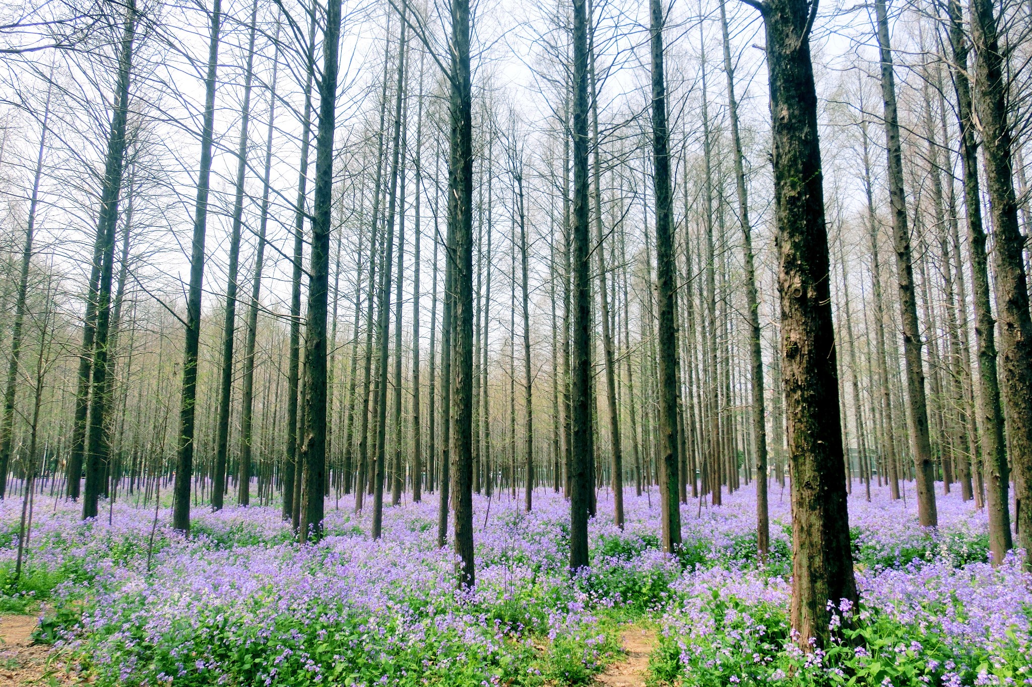 几月份去南京最好，天气怎么样，去几天合适