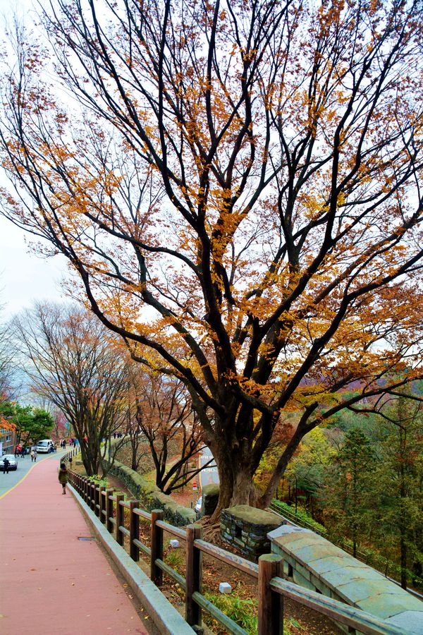 1921年世界gdp_1921年的中国图片(2)